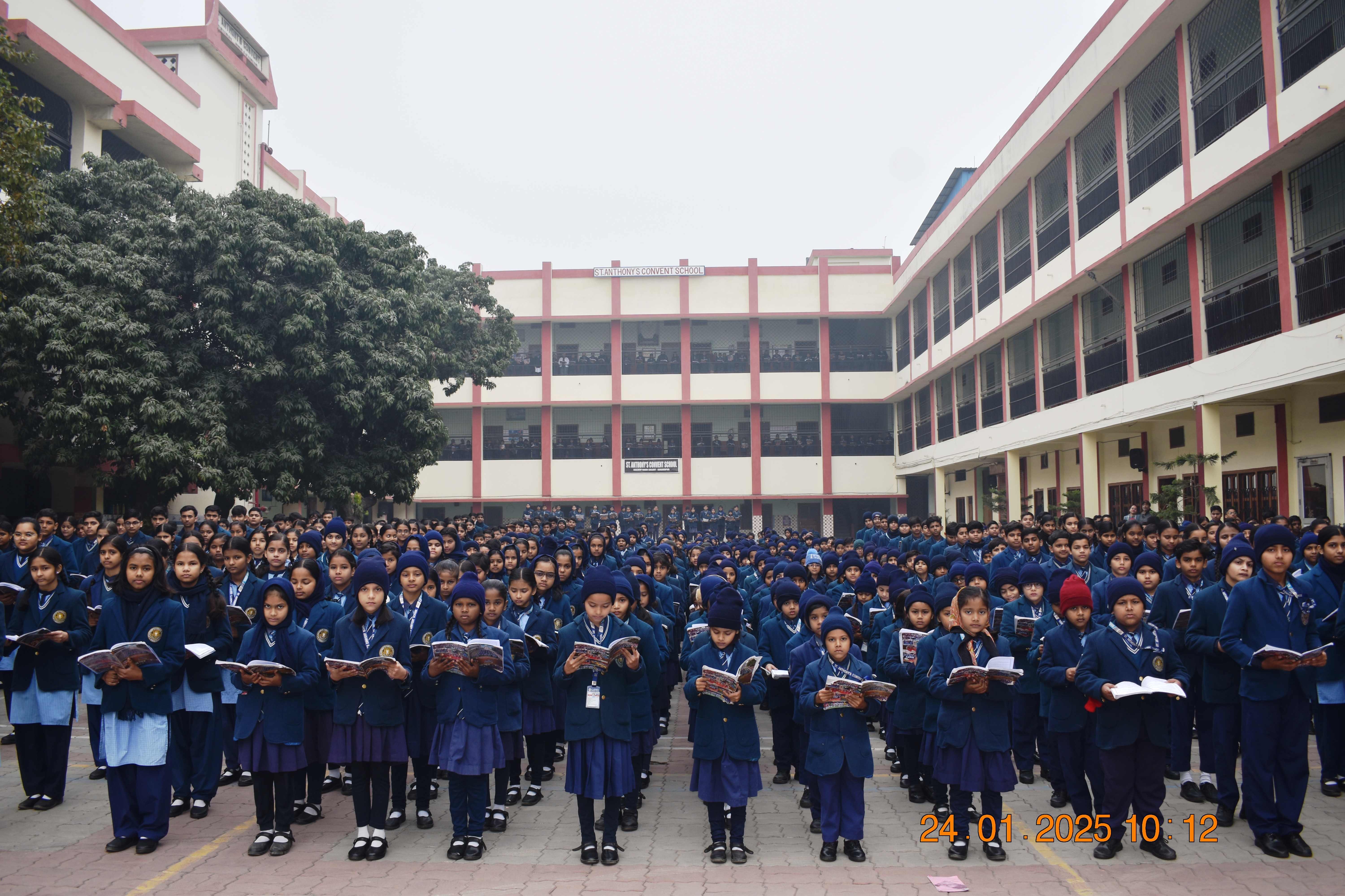 Our School